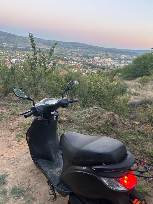 Suter 50cc LaSouris