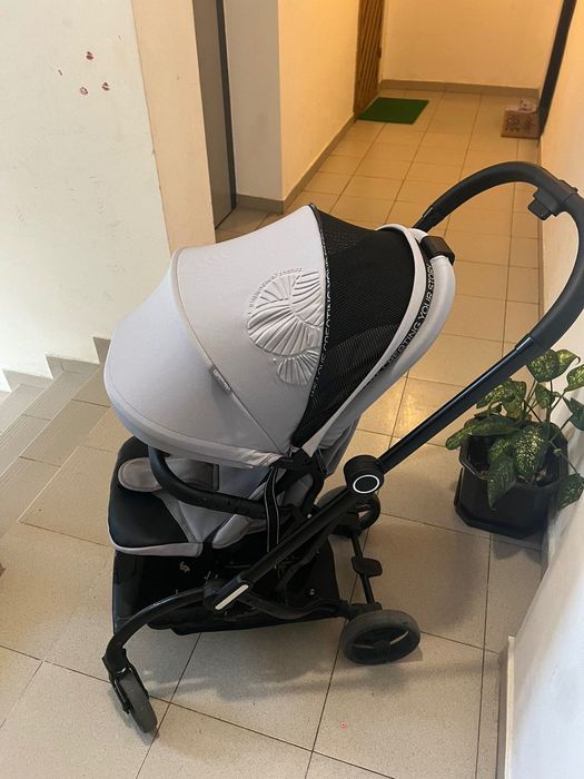 Chipolino Revolut 360