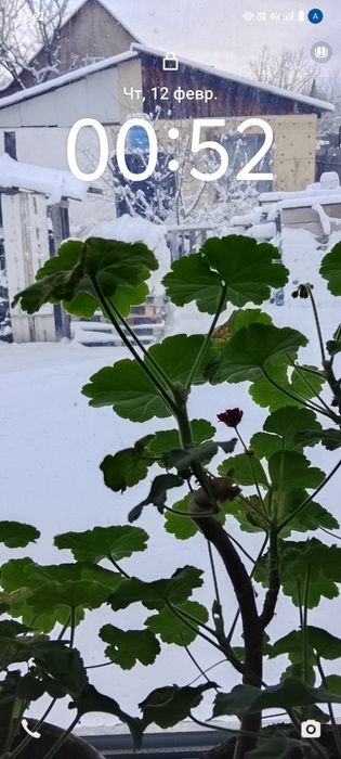 Продается дом в микрорайоне Щанырак 1