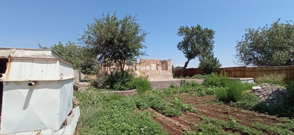 60 sotix Dala hovli дача ер участок