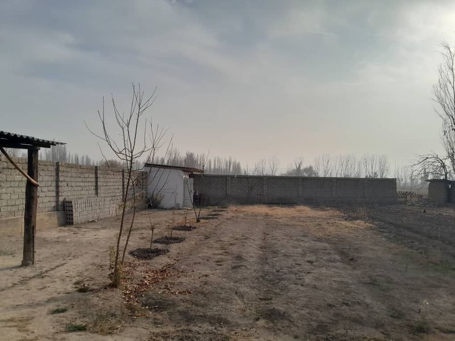 8 sotixli dala xovli