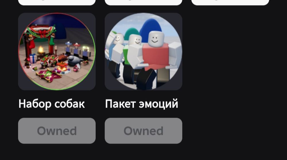 продаю роблокс аккаунт