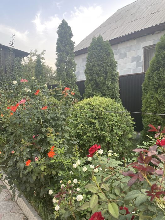 Недвижимость в бесагаше