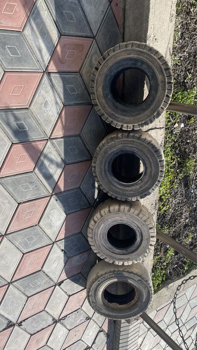 Продам ризины от  кары