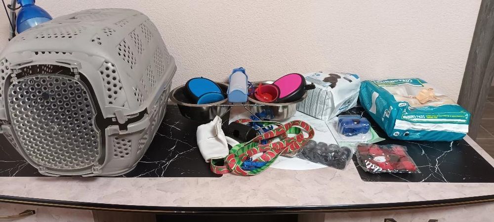 Câine accesorii animale