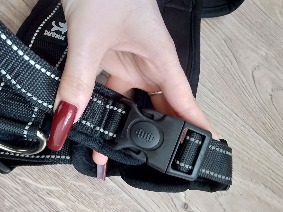 Новая шлейка для собаки!