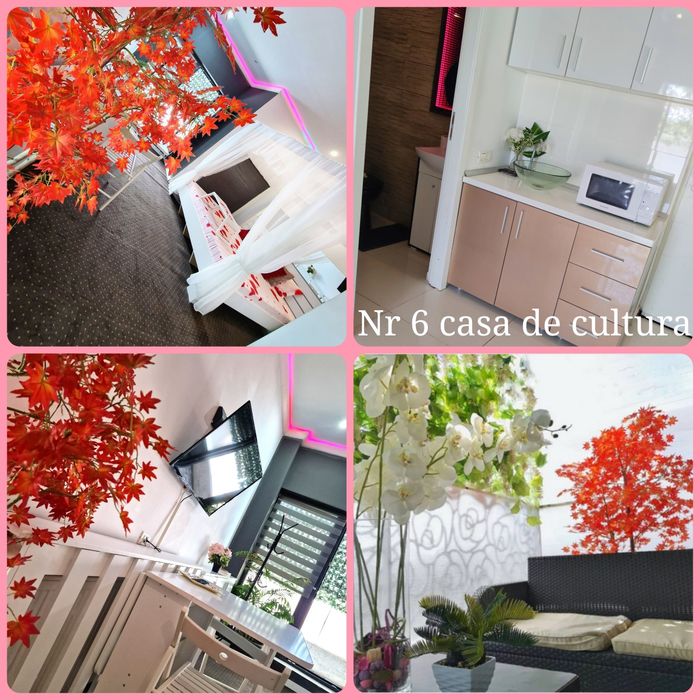 Vând vila zona casa de cultura regim hotelier