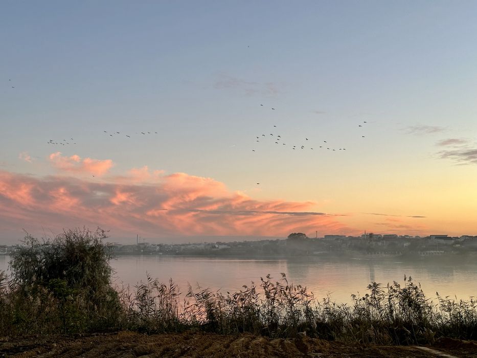Vand teren Siutghiol Ovidiu