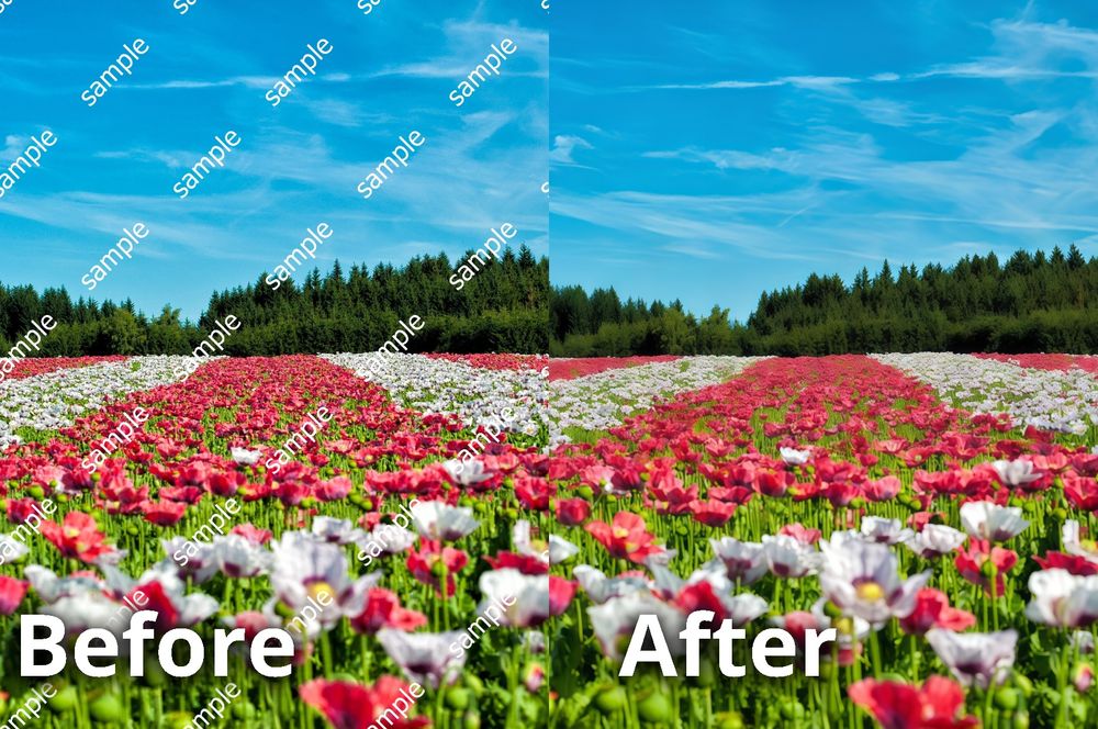 Rasm va videolarni sifatini tiklab berish xizmati