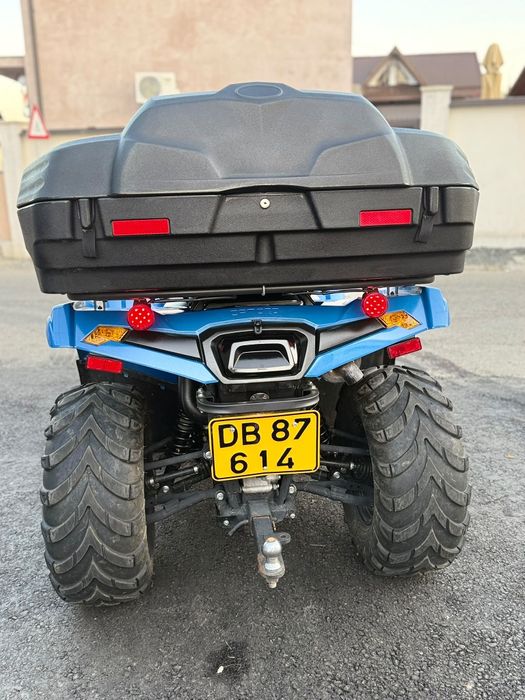 Atv CF FORCE short