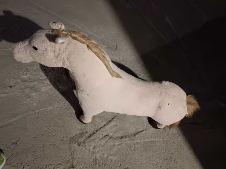 Спешно децки кончета