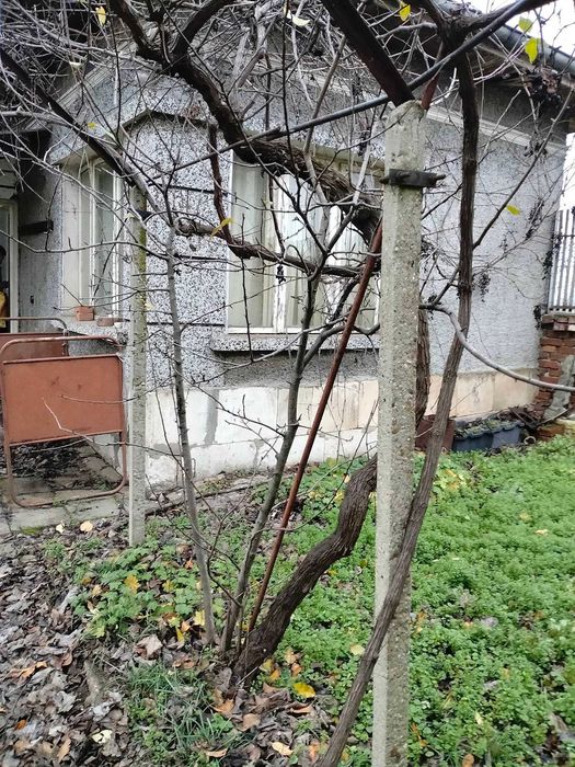 Продава къща в Ряхово