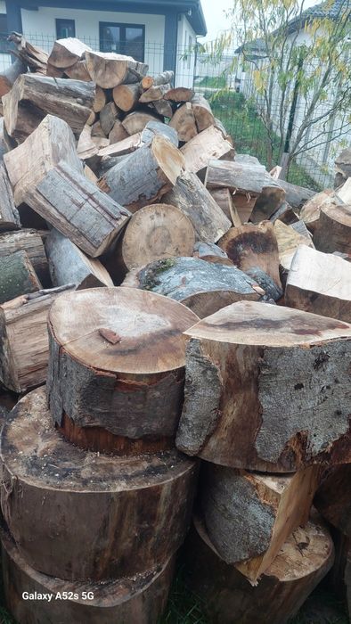 Lemne de fag uscate taiate