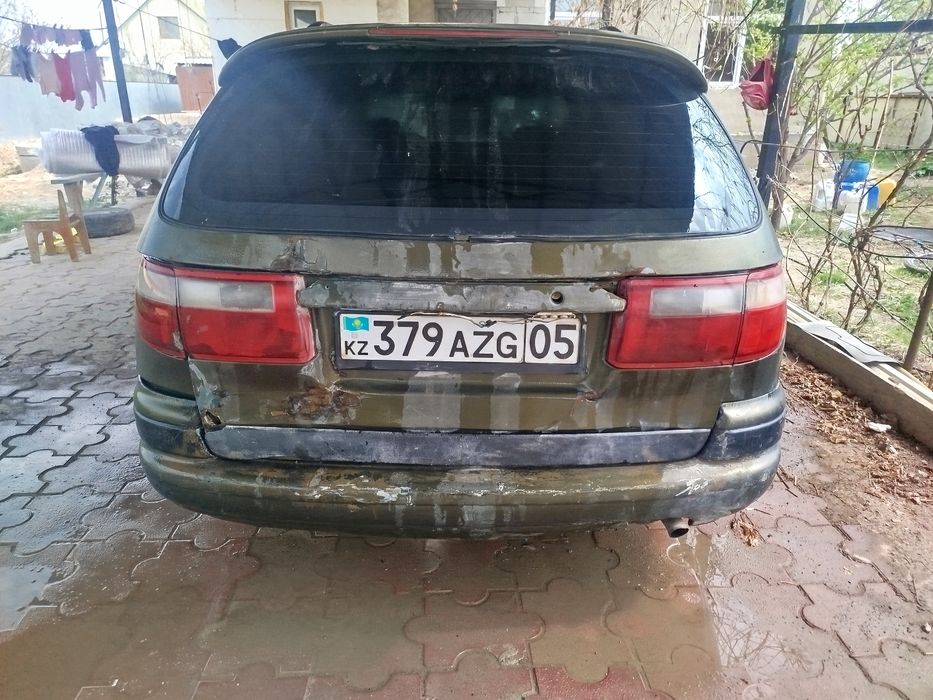 Таета карина е уневерсал