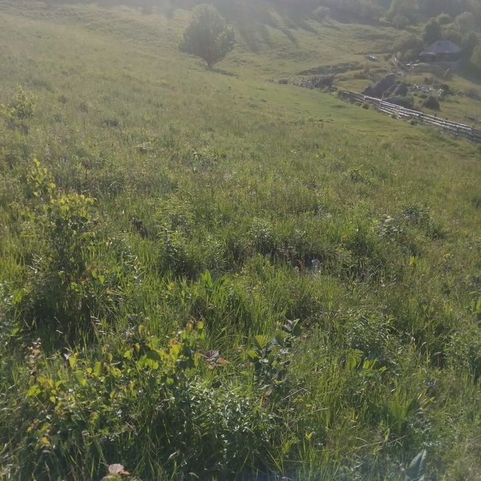 Teren intravilan in Plopi com. Valea Ierii