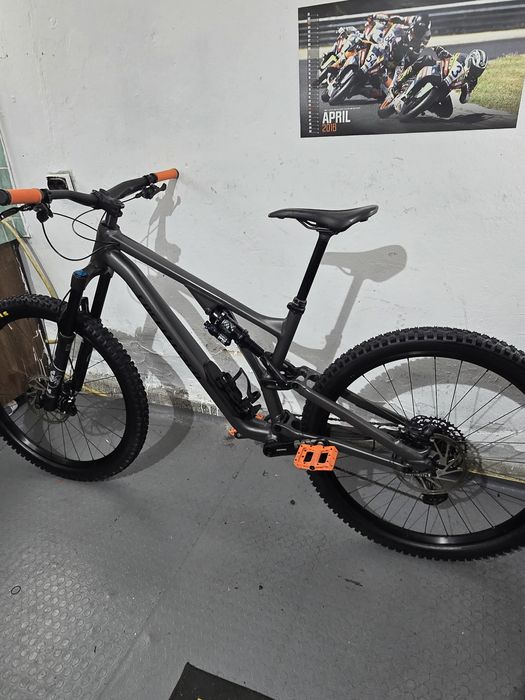 Specialized Stumpjumper evo 29 S5  FOX 36