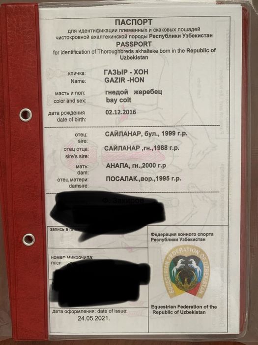 Ахалтекин отлари
