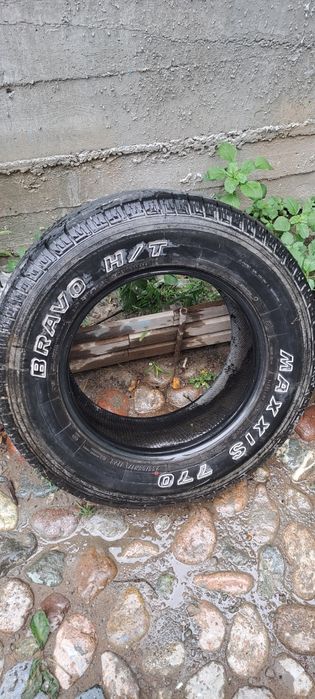 Шины максис лето