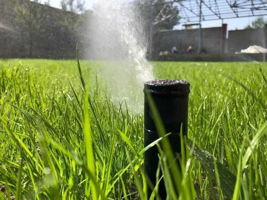 Озеленение и благоустройство участка газон туи ели автополив b234