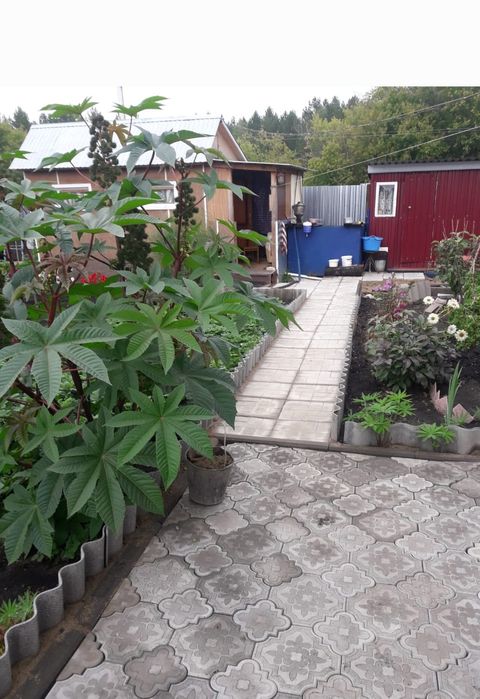 Продам дачу Гудок