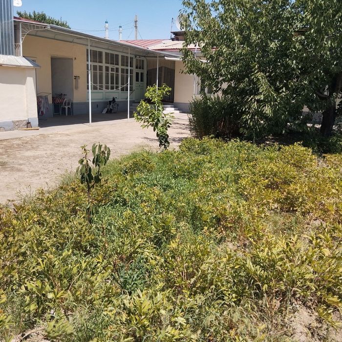 Olmazor tuman xovli 8,9 sotiq