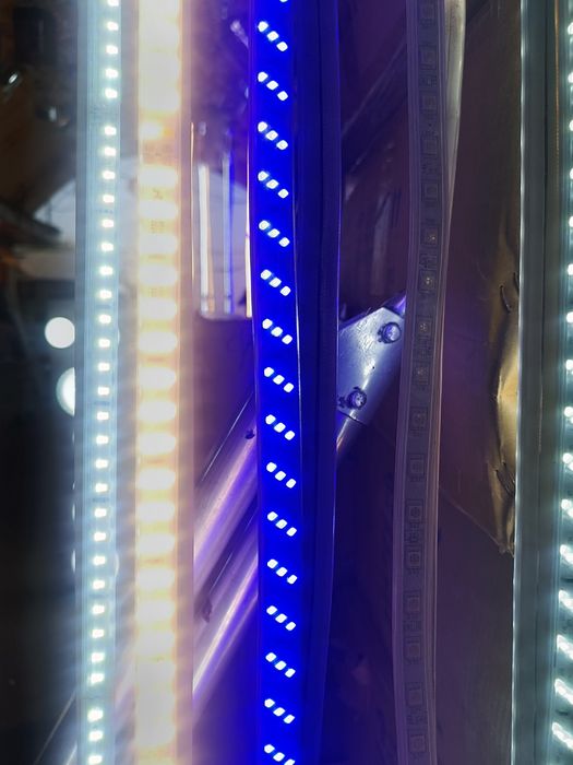 светодиодная лента Неон, Классика, Самоклеящаяся, трубка, варианты на