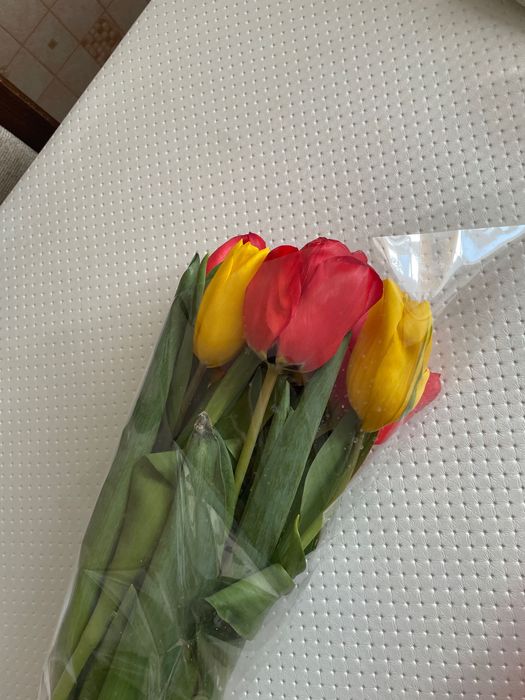 очень красивые тюльпаны