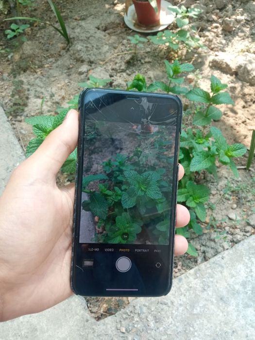 Iphone xs max 256 carbon chehol bonusga