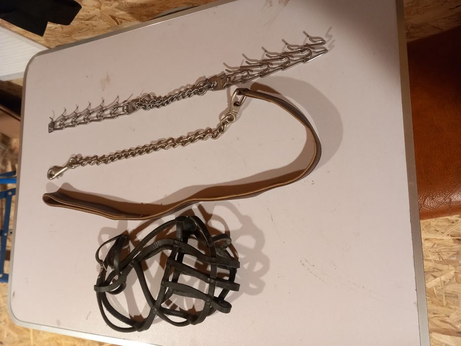 Zgarda forță, botnita și lesă câini