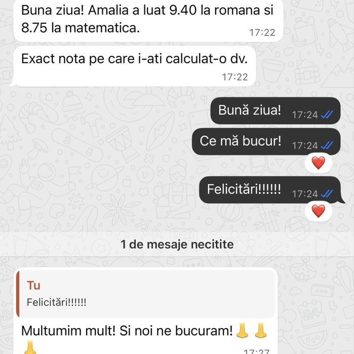 Meditații limba română
