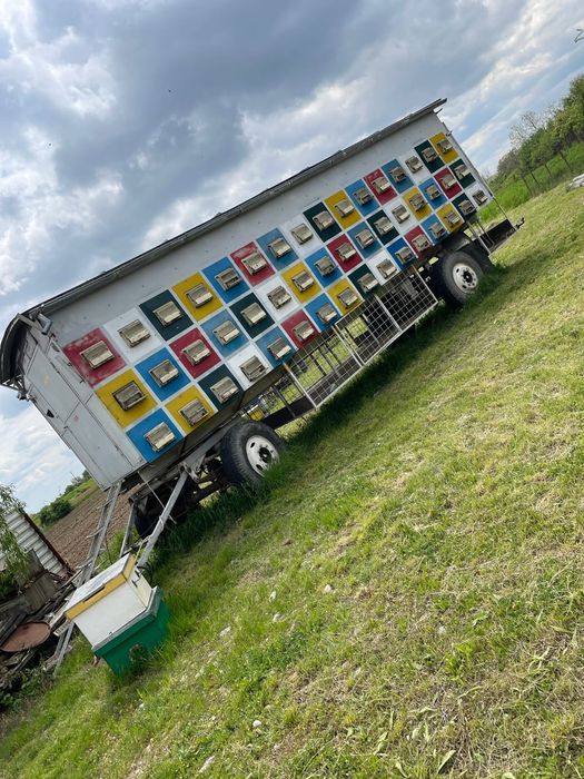 Vând pavilion apicol