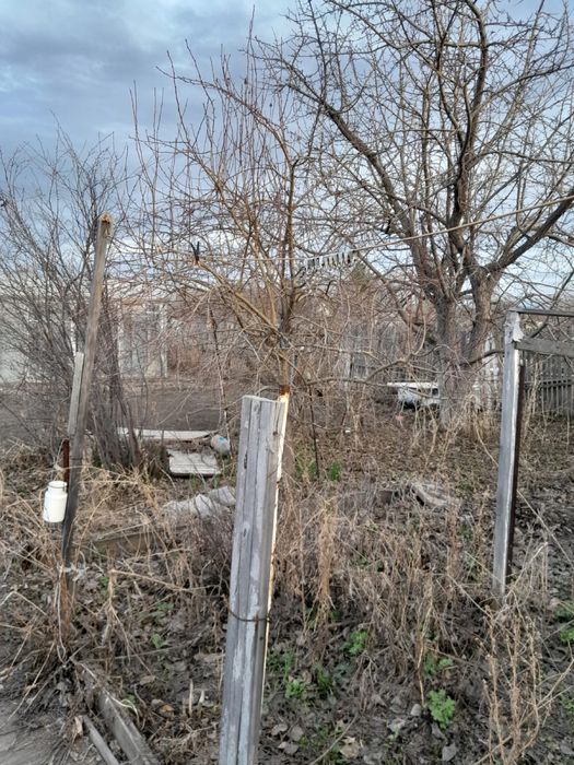 Продам дачу в Черёмушках