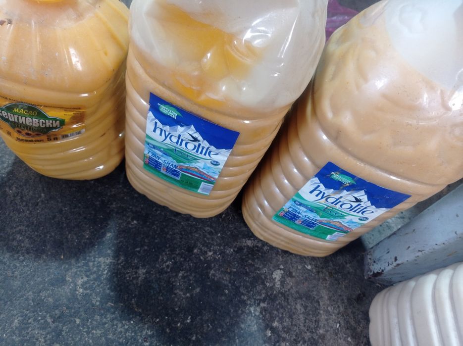 Илик ёғи оптом нархда