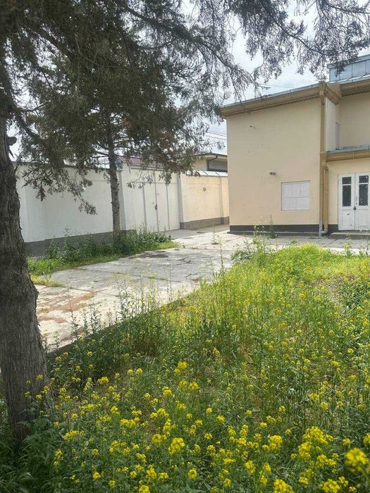 Продается ДАЧА Для себя или готовый бизнес!