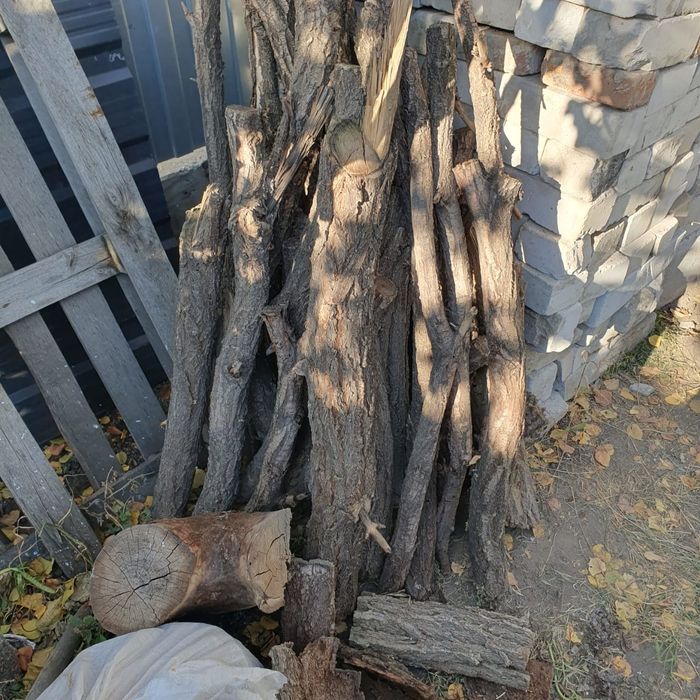 Продам дрова. Карагач.