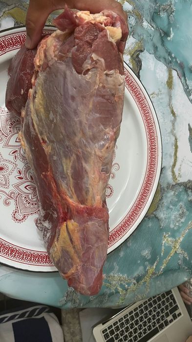 Продаю брикеты говядины Беларусь