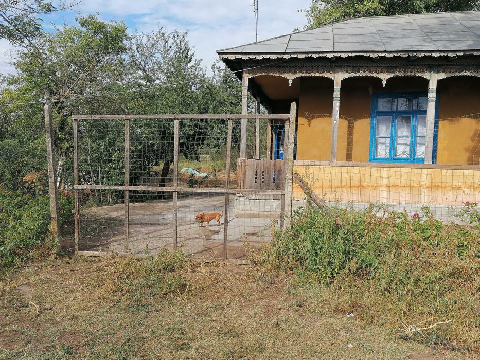 Casa de inchiriat in com Tudor Vladimirescu, sat Scortaru Vechi/Braila curte 5000mp pret 1000 ron negociabil