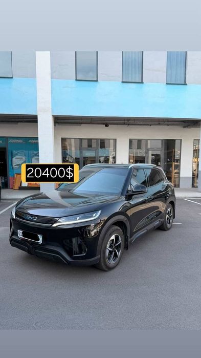 Byd Yuan up 2025