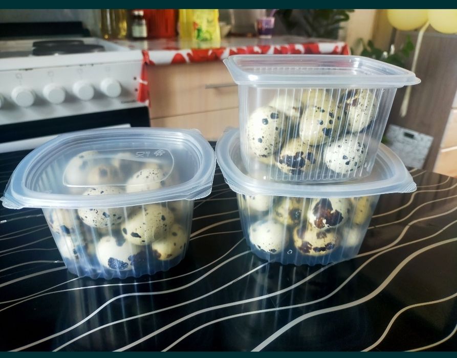 Продам перепелиные яйца.