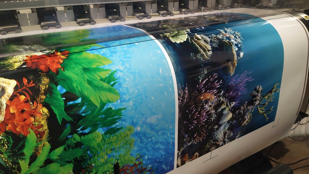 Стикер за Гръб на Аквариум / Изработка  на автомобилни стикери