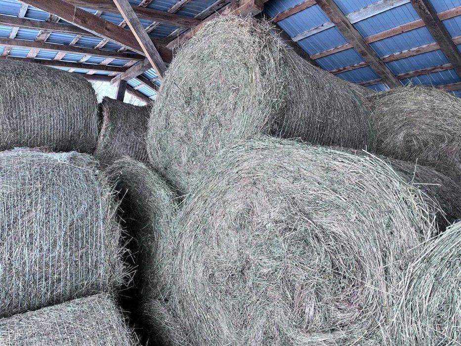 Baloți rotunzi de fân 150x120