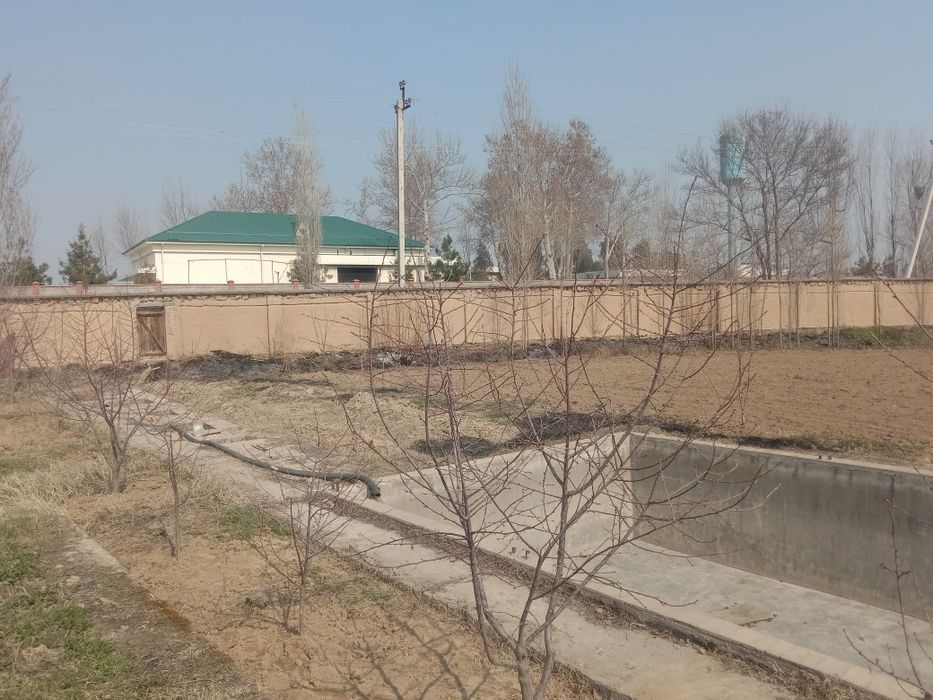 Котта кон Уй сотилади 68 сотих