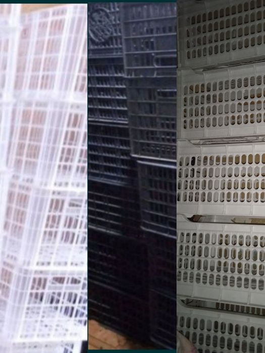 Дачникам в огород и сад