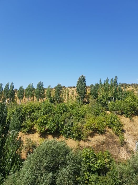 Продаётся дача на Чарваке