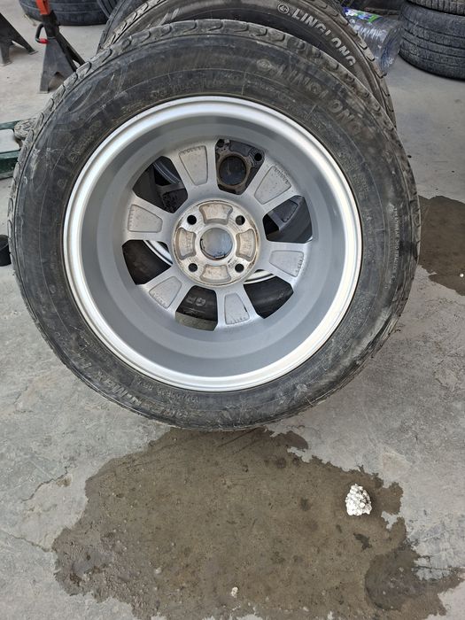 Jentra arginal diska balon ayirboshlash bor