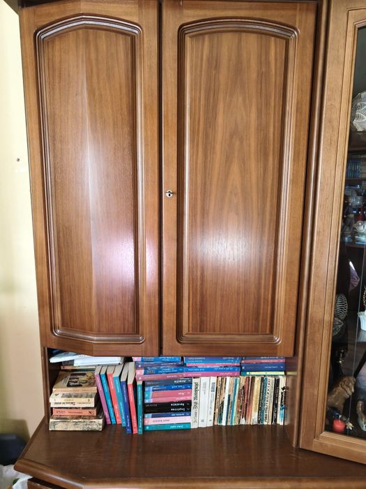 Biblioteca din lemn