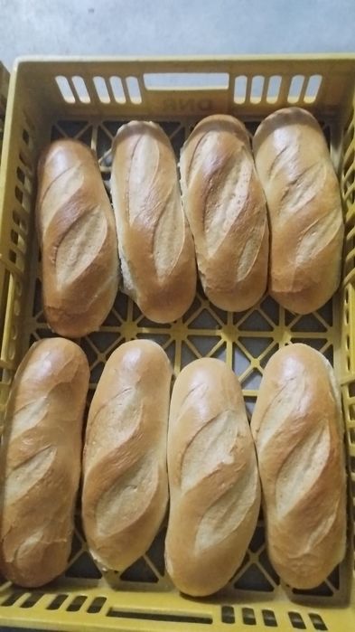 Vand paine furajera rebut   cantitati mari