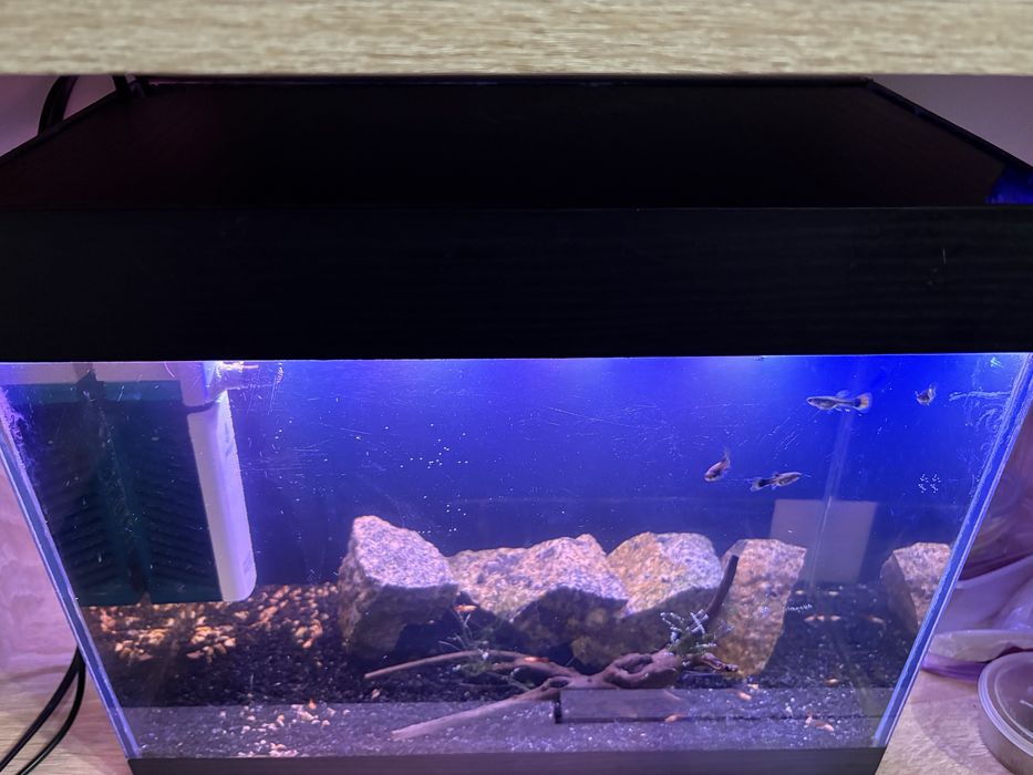 Продаи аквариум обьемом около 15 литров