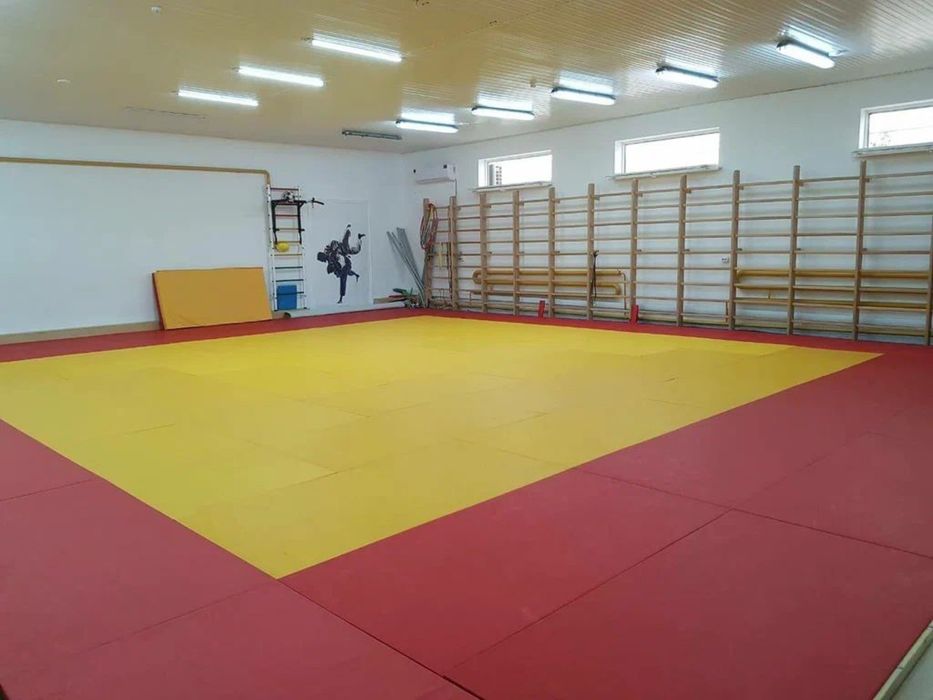 ТАТАМИ для дзюдо