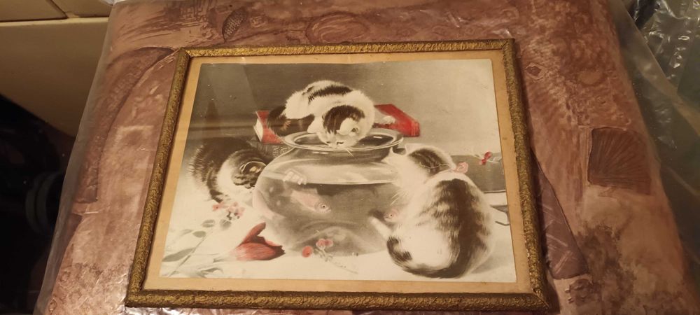 рамки за картини със стъкло